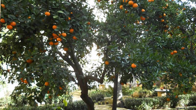 B&B L'Orangerie D'Epoque Lecce Ngoại thất bức ảnh